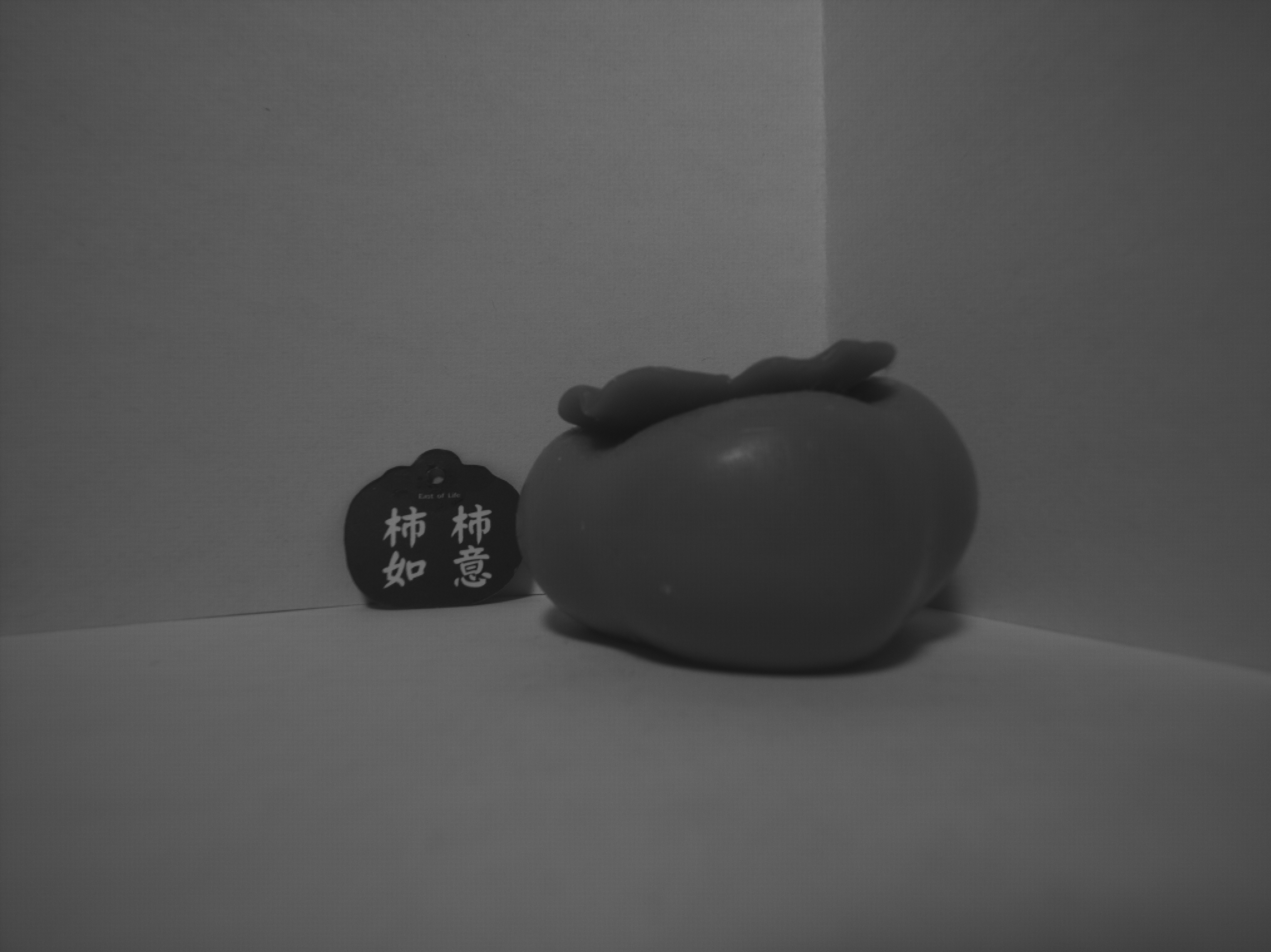 raw_u16